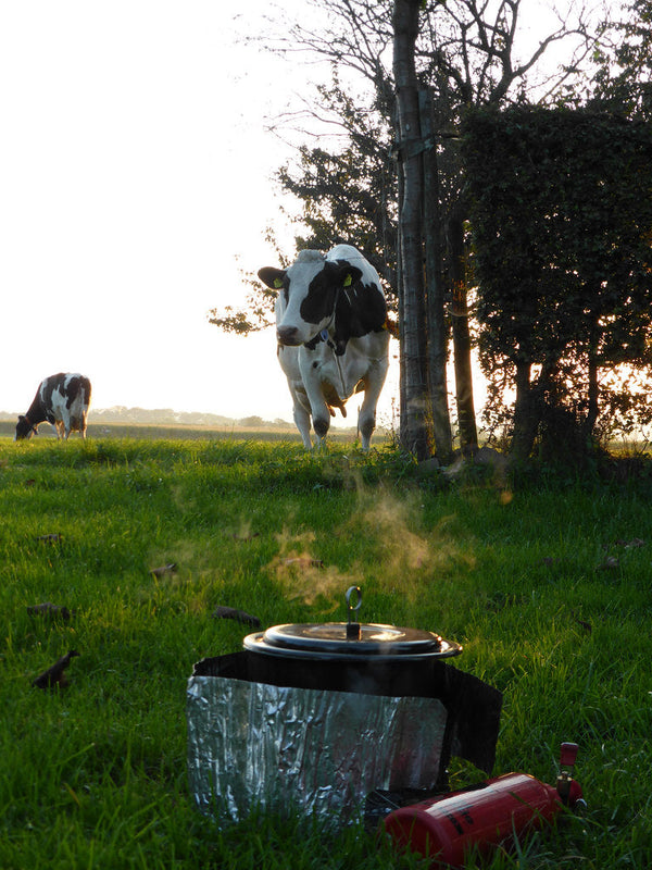 Renting vs. Buying a Camp Kitchen: When Rental Gear Makes Sense (and When It Doesn't)