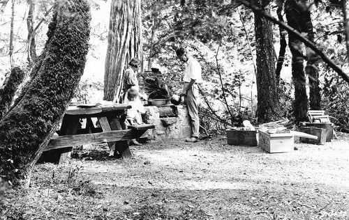How Long Does a Camp Kitchen Last? Lifespan and What Wears Out First