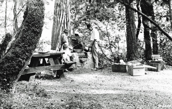 How Long Does a Camp Kitchen Last? Lifespan and What Wears Out First