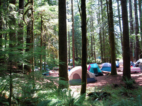 Camp Kitchen for Walk-In and Hike-In Tent Sites: How Far Can You Really Carry It?