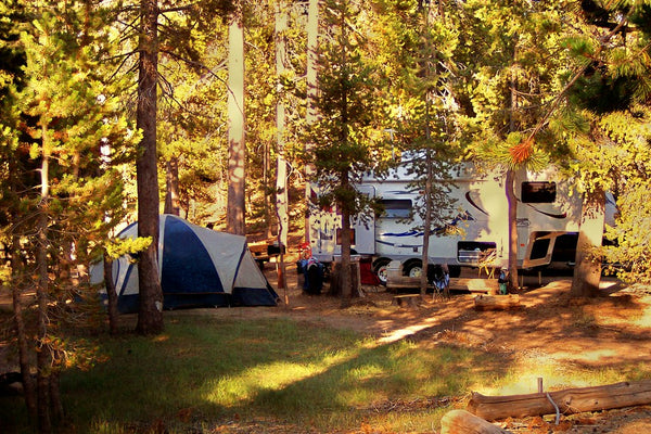 Camp Kitchen Box vs. Ozark Trail Camp Kitchen: Is the Walmart Budget Option Enough?