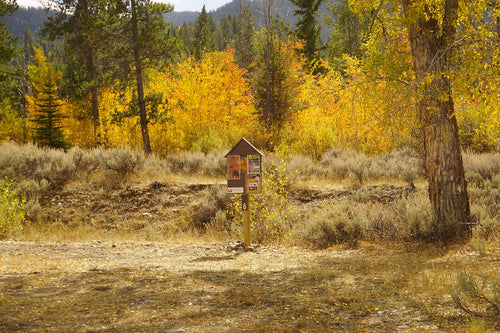 Camp Kitchen for Boondocking and Dispersed Camping: Cooking With No Hookups