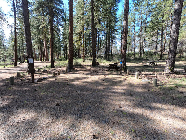 Where to Dump Camp Kitchen Sink Graywater (Leave No Trace, Done Right)