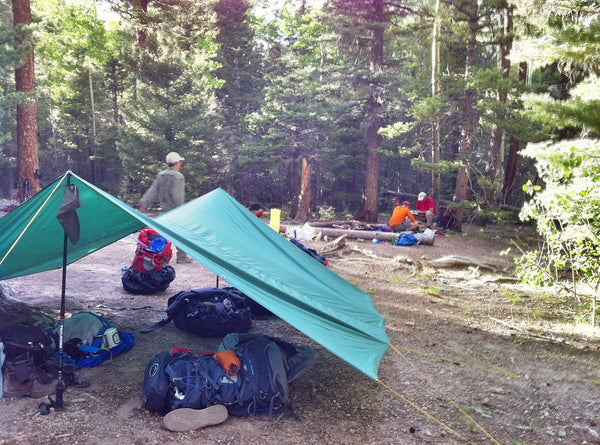 Do You Need a Shelter Over Your Camp Kitchen? Tarps, Canopies, and Screen Rooms Compared
